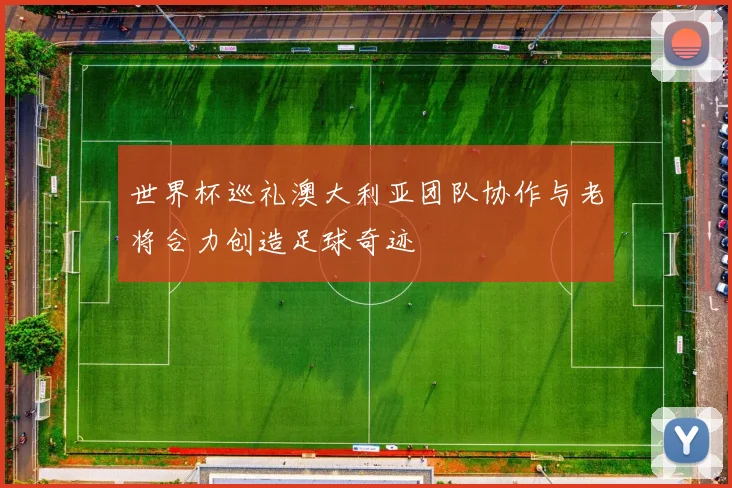 世界杯巡礼澳大利亚团队协作与老将合力创造足球奇迹